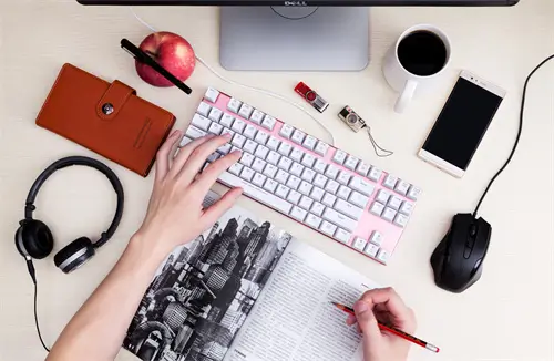 老挝的人到荷兰旅游费用及路线指南